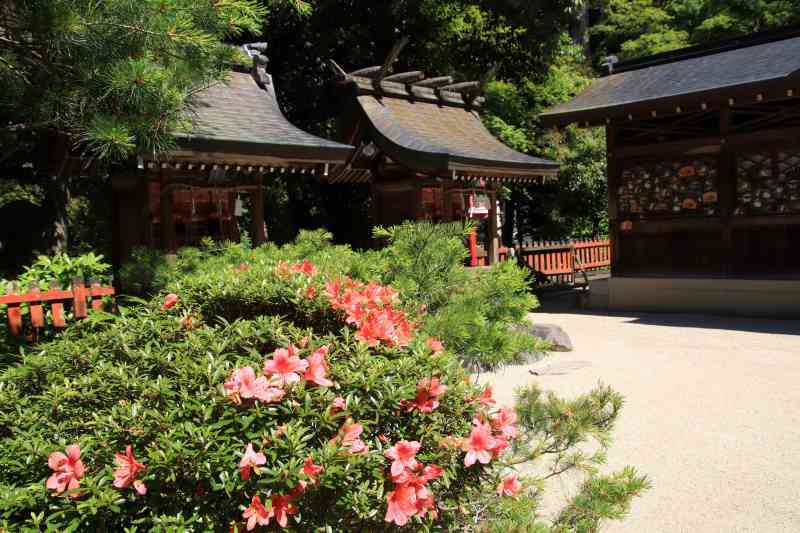 鷺ノ森神社を訪ねた_e0048413_19191828.jpg