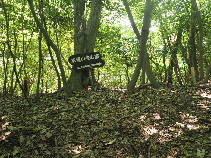 水越山登山_c0116915_00410739.jpg