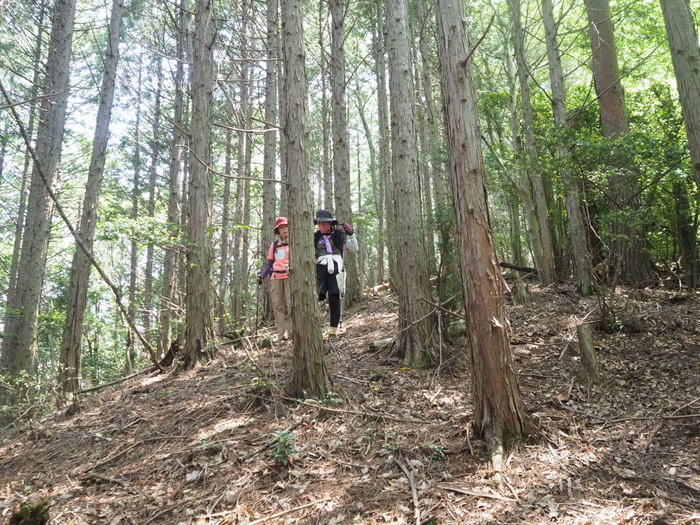 水越山登山_c0116915_00485490.jpg