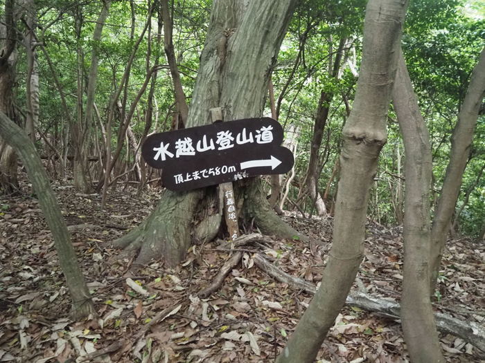 水越山登山_c0116915_01054691.jpg