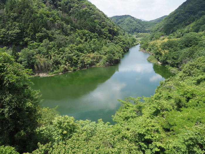 窓竜湖(魚切ダム上流)_c0116915_23394589.jpg