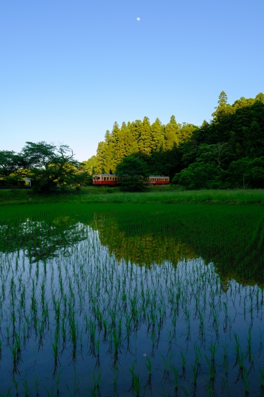 初夏の月　小湊鉄道_f0050534_09192209.jpg