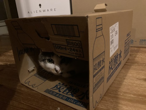玉ねぎ収穫!_c0331145_21020827.jpg