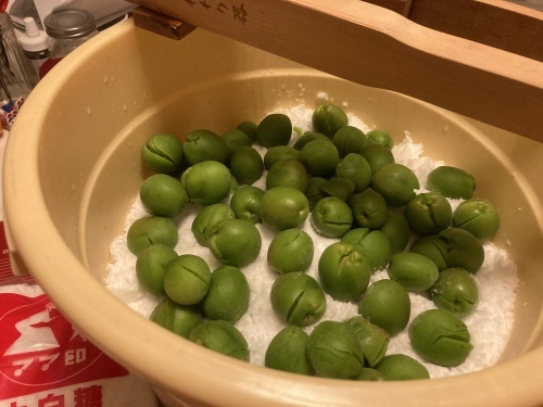 玉ねぎ収穫!_c0331145_21362204.jpg