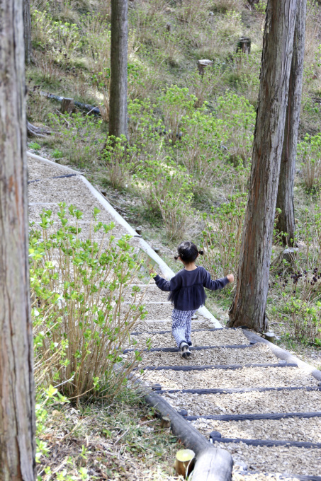 2度目の伊豆マリオット修善寺③　〜三島スカイウォーク〜_b0320746_06532857.jpg