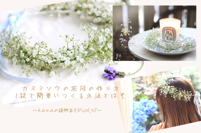 56選! HORTI記事をまとめてみました!_b0160880_09175139.jpg
