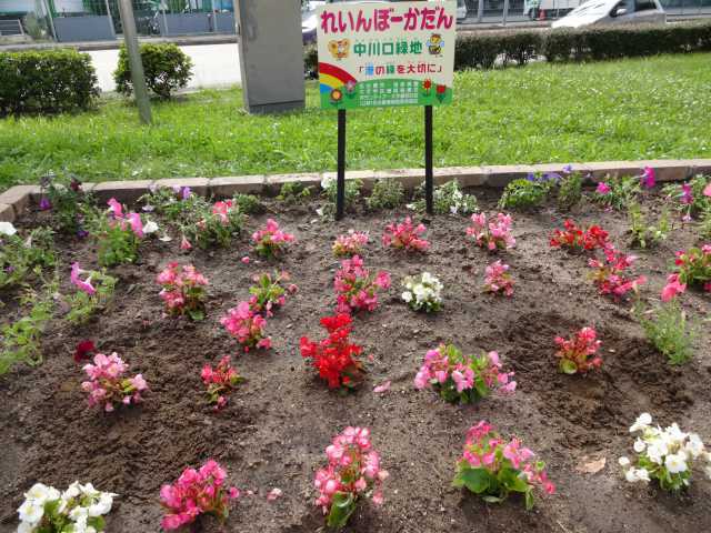 大手銀杏の会のみなさんとれいんぼーかだんの植替えをしました!R3.5.26_d0338682_16441938.jpg