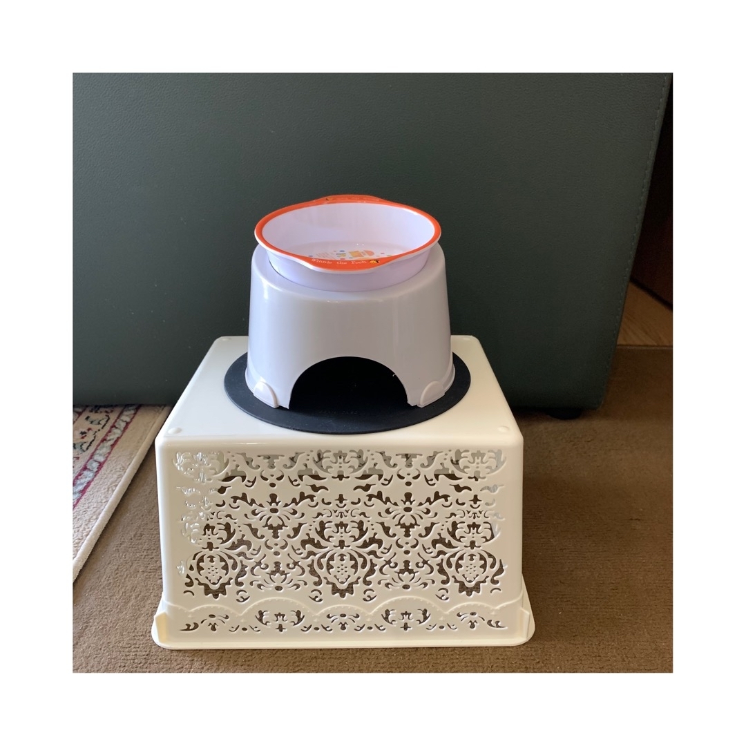 アモ日記 No 487 再び水の高さの見直し 100均雑貨利用の傾斜台 編み好き Amiami通信