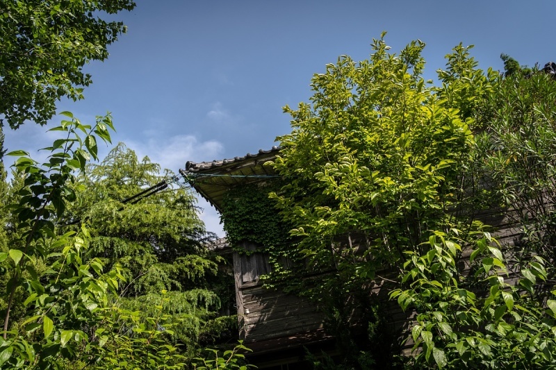 静かに朽ち逝く繊維工場 - 社員寮_d0353489_20501647.jpg