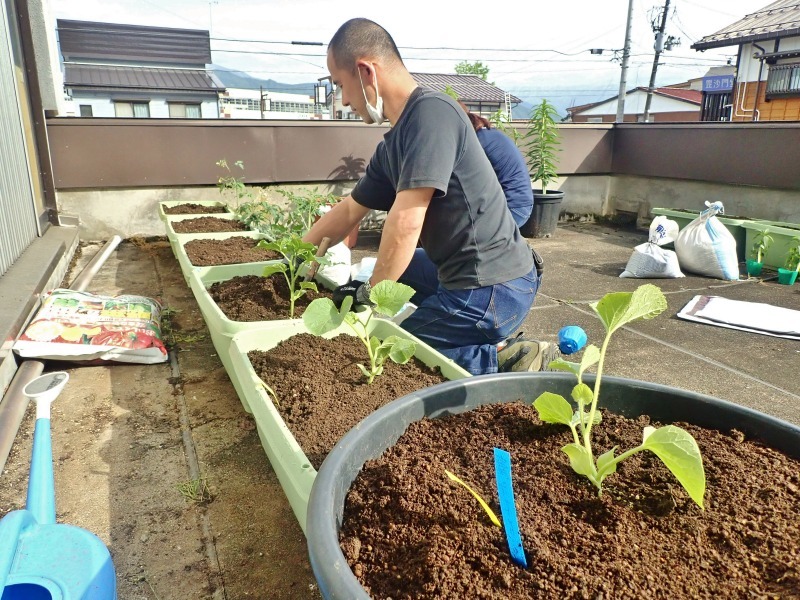 屋上菜園に苗を植え付けました！_c0336902_19245040.jpg