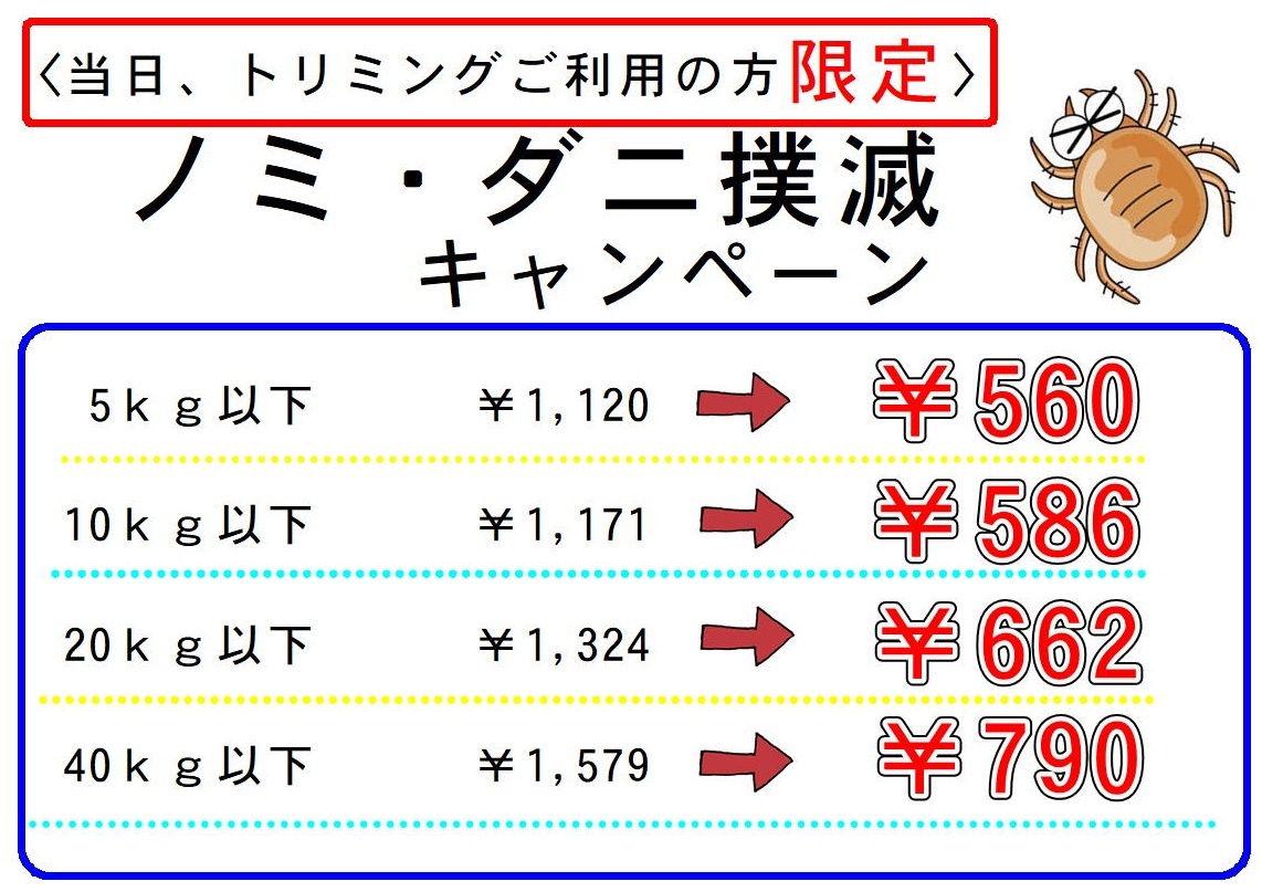 ノミ・ダニ 撲滅キャンペーン_c0219309_16535159.jpg