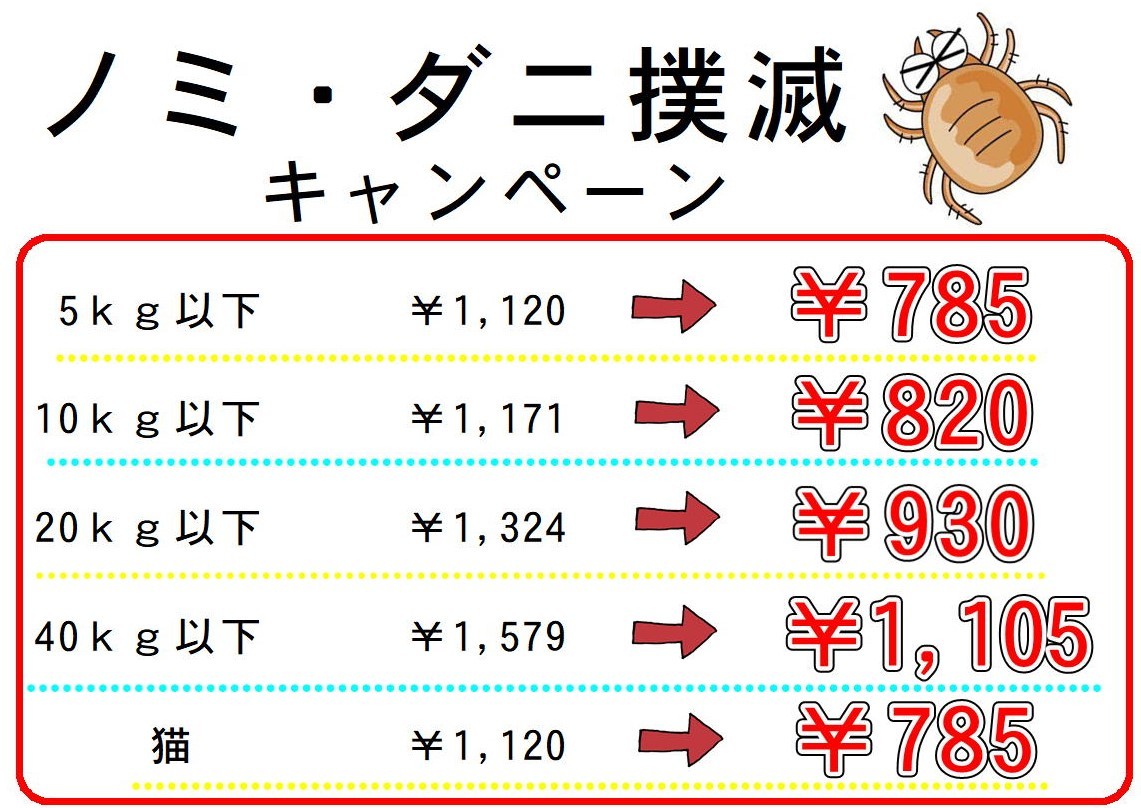 ノミ・ダニ 撲滅キャンペーン_c0219309_16542311.jpg