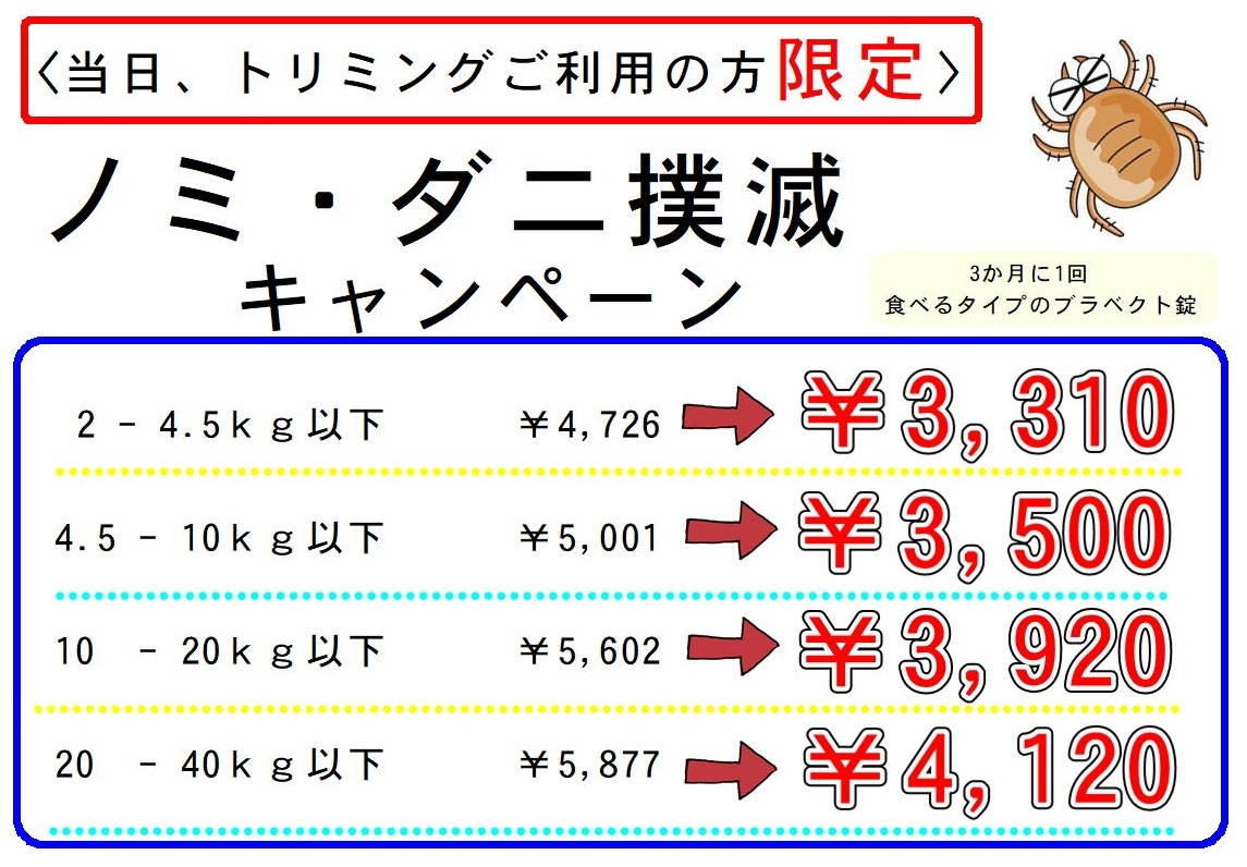 ノミ・ダニ 撲滅キャンペーン_c0219309_16543997.jpg