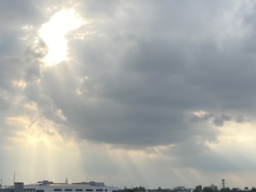 ヤコブの梯子 はしご どんな人生も好き