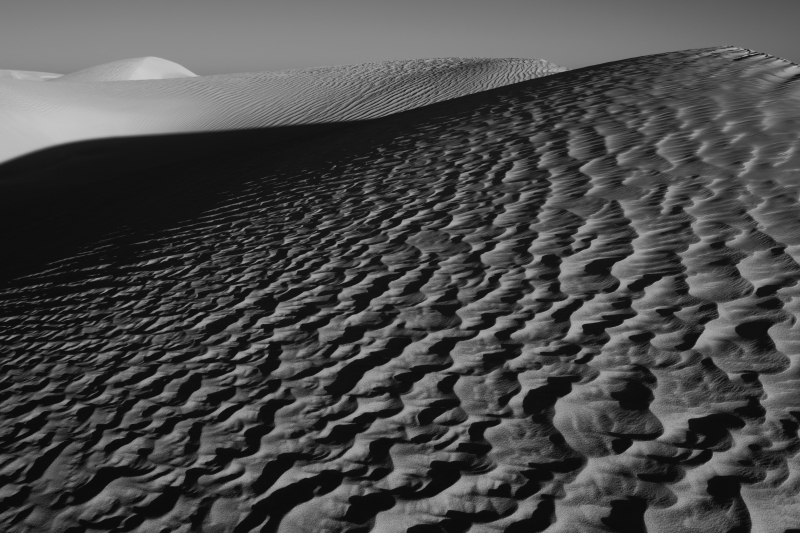 砂丘はモノクロームが似合う_f0050534_20590917.jpg