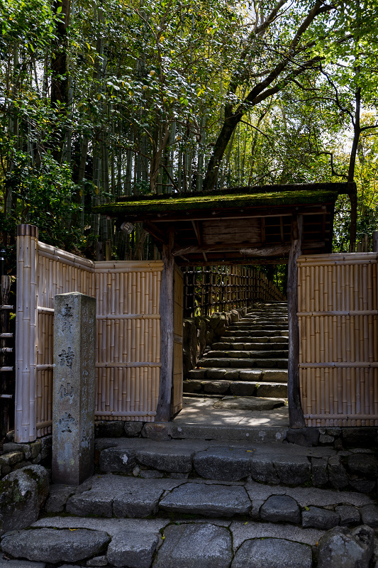 春の花咲く詩仙堂 : 花景色－K.W.C. PhotoBlog
