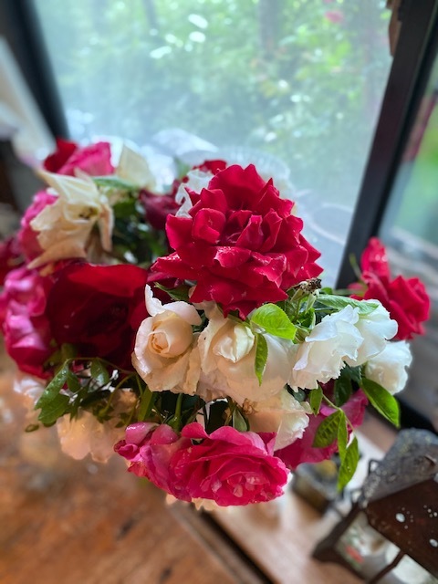 薔薇が終わりまして・・・_b0396150_12222176.jpg