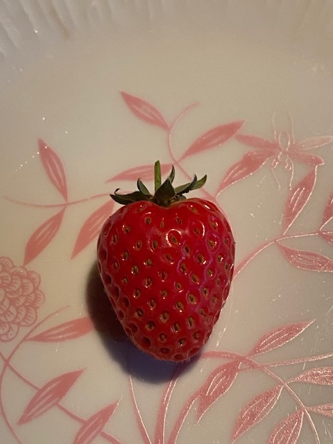 薔薇が終わりまして・・・_b0396150_12224488.jpg