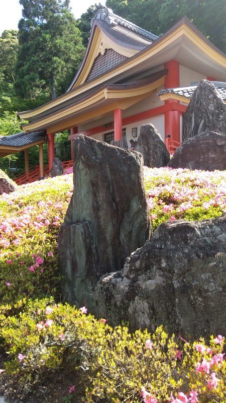 仕事とプライベートと身体のこと、バランスよく_f0129557_15264457.jpg