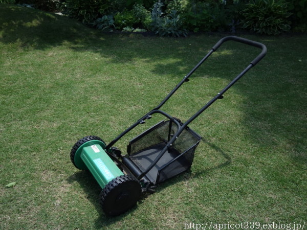 芝生・TM9のお手入れと、植栽スペースの整地スタート_c0293787_14543846.jpg