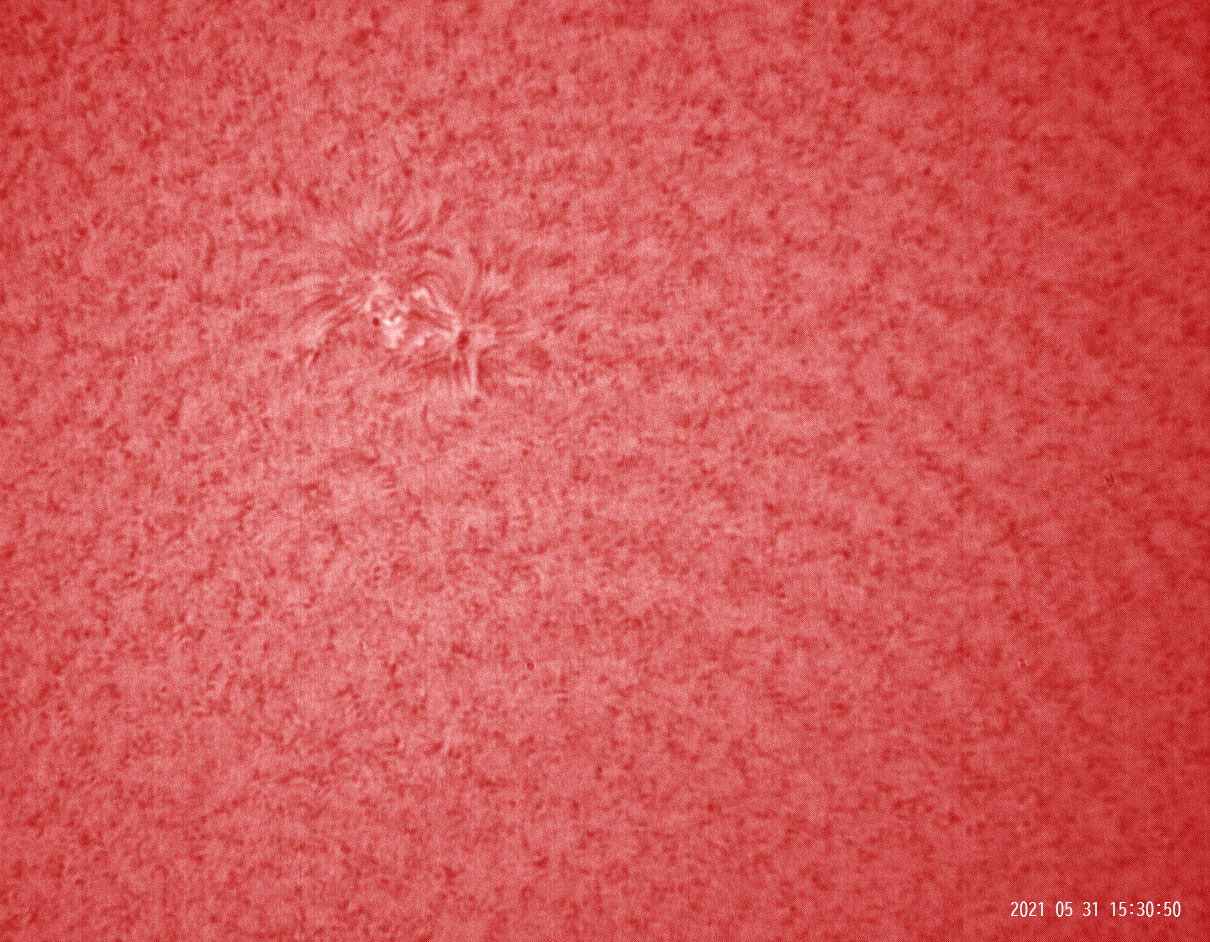 5月31日の太陽_e0174091_17294651.jpg