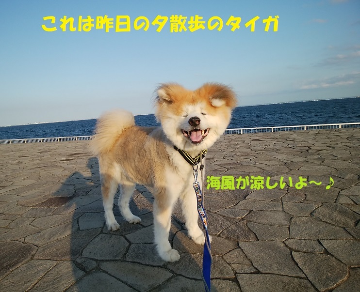 2tpxolstfbsjsm 2tpxolstfbsjsm