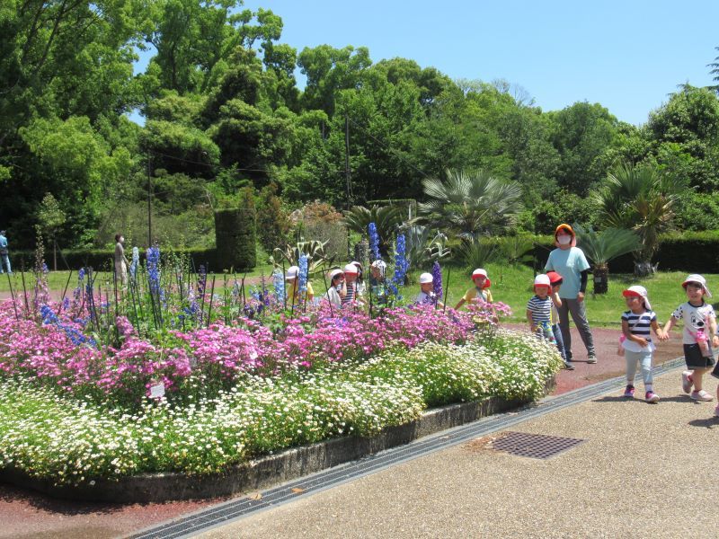 植物園が再開した　すごい花盛り_e0048413_22244414.jpg