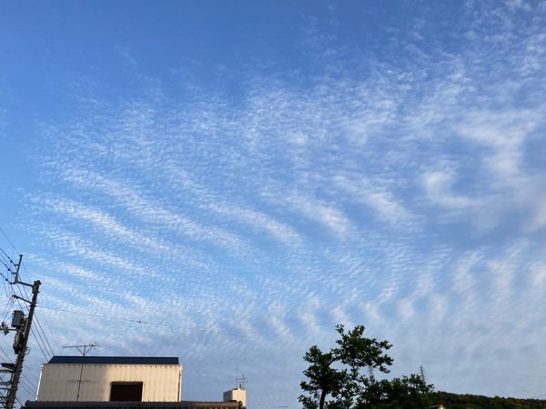 初日の夕方にはきれいなうろこ雲が 蜜蜂的写真日記