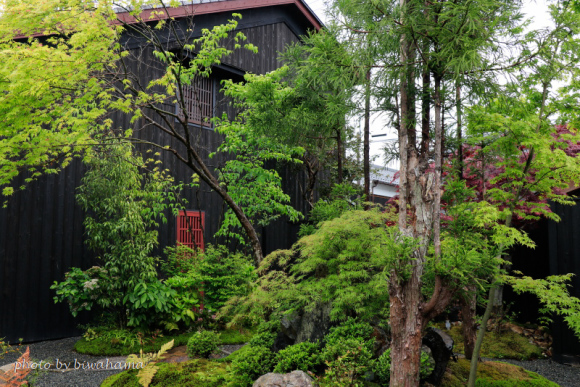 八幡堀沿いの宿「旅籠　八」_b0055171_11264328.jpg