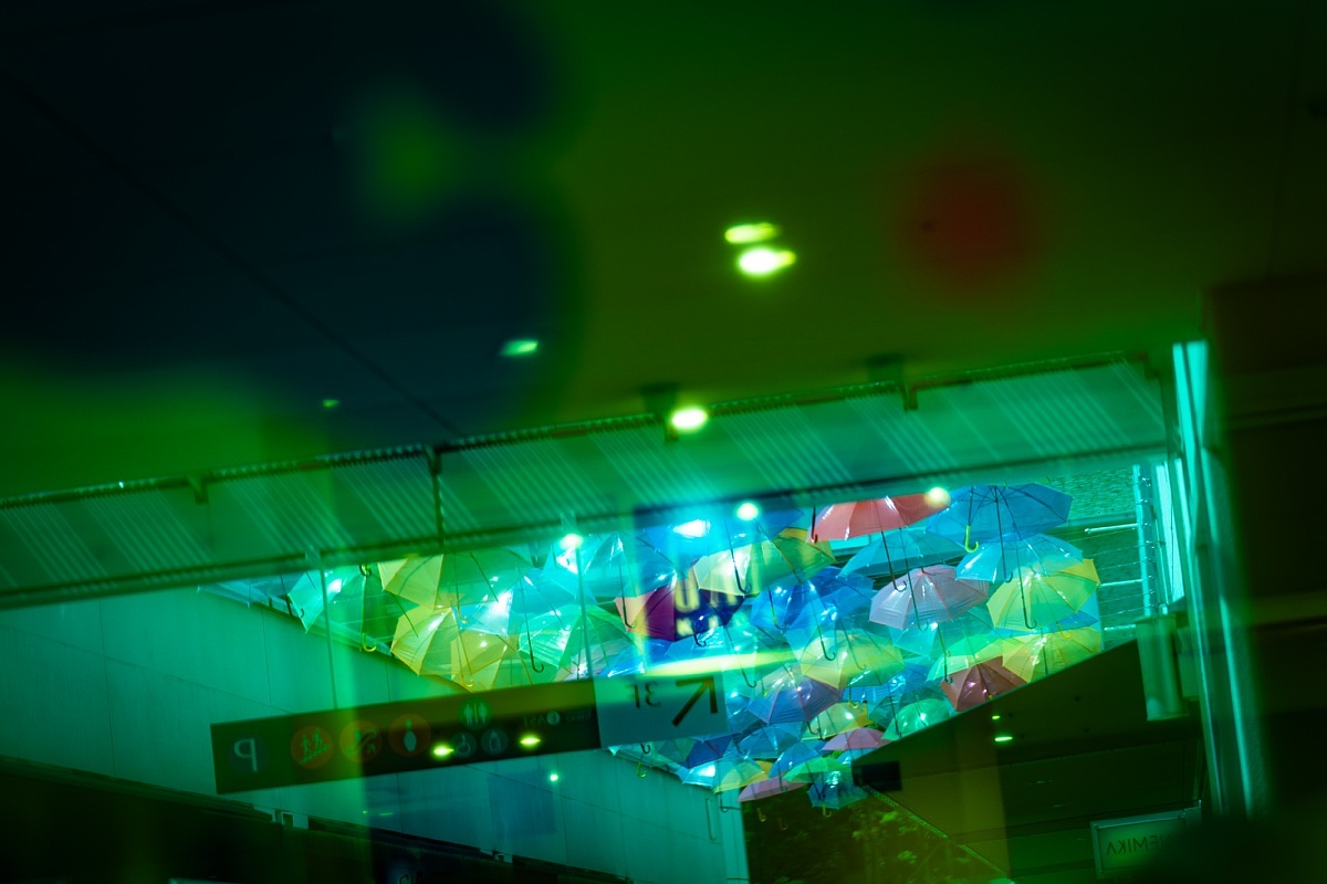 初夏のビタミンカラー_d0353489_19254119.jpg