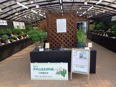 ニラバランを「絶滅危惧種展」で展示中_f0203094_16492378.jpg