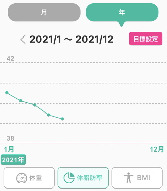 健康管理 21年通年記録 体重 体脂肪率 Bmi 丁寧な暮らし 感謝の気持ちを忘れずに 健康管理 21年通年記録 体重 体脂肪率 Bmi 丁寧な暮らし 感謝の気持ちを忘れずに