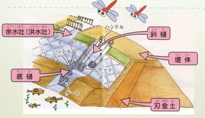 エメラルドグリーンに輝く丹野池_c0376508_14312351.jpg