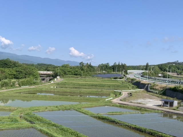 ゴンドラで行く入笠山　2021年6月_b0330040_18103187.jpeg