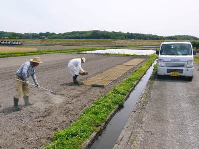 砂田米　土にこだわる匠の苗床作りを現地取材(2021)　令和2年度の砂田のこだわりれんげ米は残りわずかです_a0254656_17544385.jpg