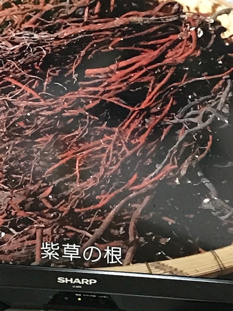 紫_a0399157_12312662.jpg