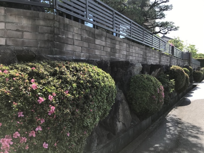 梅雨の晴れ間に庭木の剪定_b0100062_08250353.jpeg