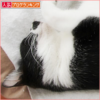 大変な出来事_a0389088_17583095.jpg