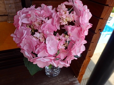 夏を想わせる花_f0203094_11152628.jpg