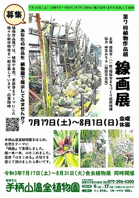 線画展を開催中です_f0203094_14381357.jpg