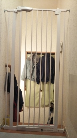 今日のみやこ。要塞化する我が家。_a0105396_01030246.jpg