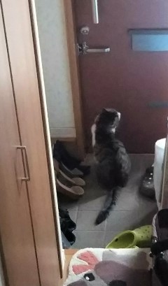 今日のみやこ。6月の体重測定。_a0105396_01050105.jpg