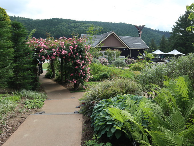 長野に行くざんす♪･････その１_b0331802_22491289.jpg