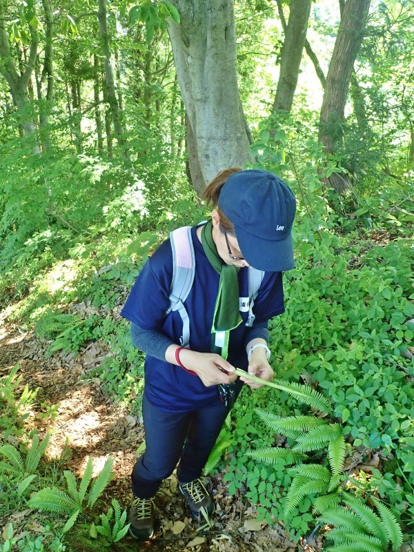 浦佐の西山へ二つの城跡を巡るコースへ_c0336902_21465443.jpg