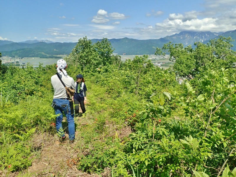 浦佐の西山へ二つの城跡を巡るコースへ_c0336902_21465744.jpg