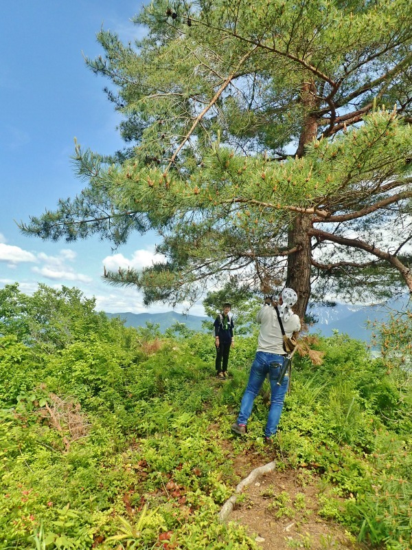浦佐の西山へ二つの城跡を巡るコースへ_c0336902_21470613.jpg