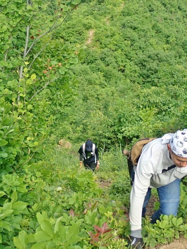 浦佐の西山へ二つの城跡を巡るコースへ_c0336902_21471069.jpg