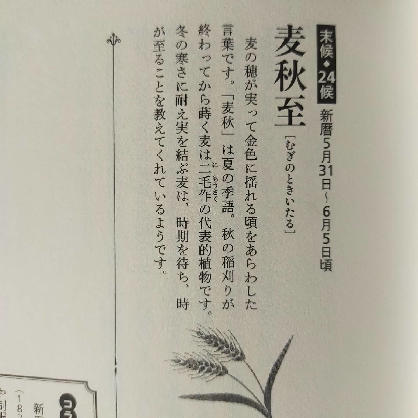 210602 七十二候二十四候「麦秋至(むぎのときいたる)」_f0164842_00031971.jpg