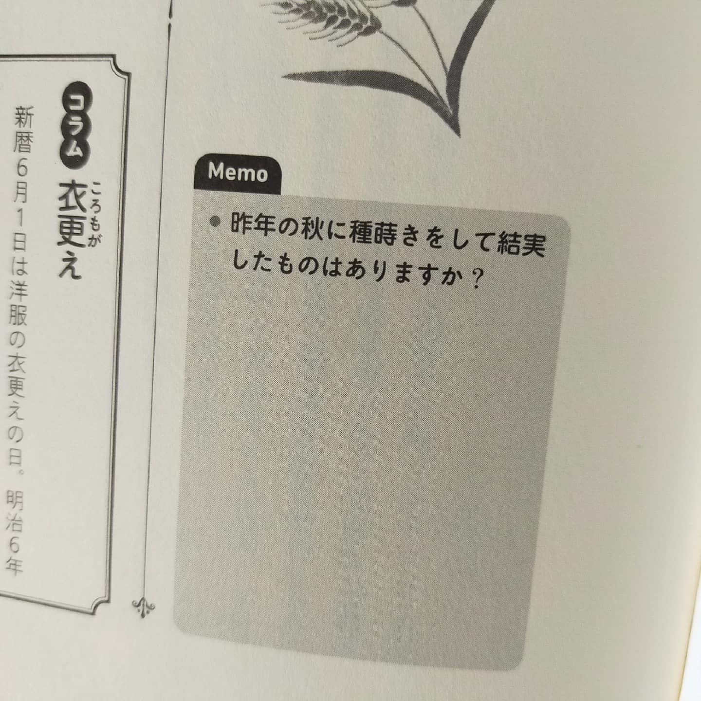 210602 七十二候二十四候「麦秋至(むぎのときいたる)」_f0164842_00033637.jpg
