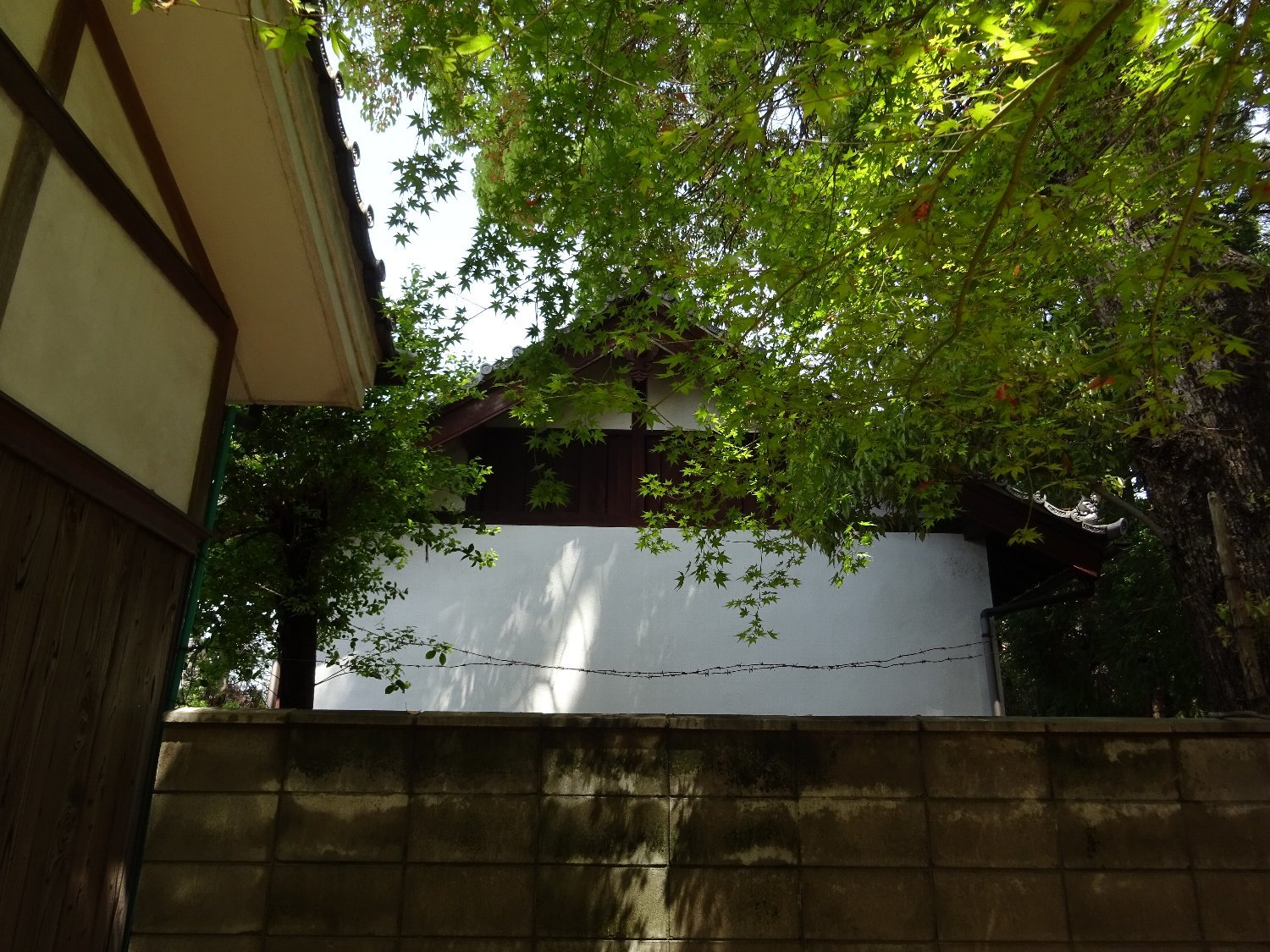 女九神社（茨木市）_c0112559_07181871.jpg